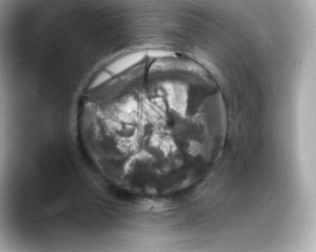 X0000088140346200706042013