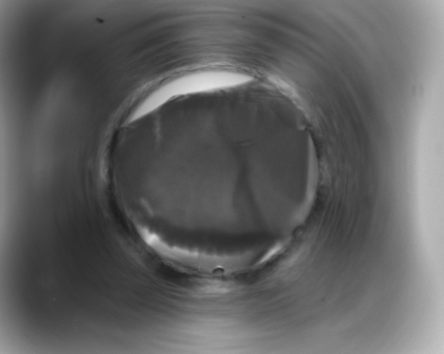 X0000088140347200706042013