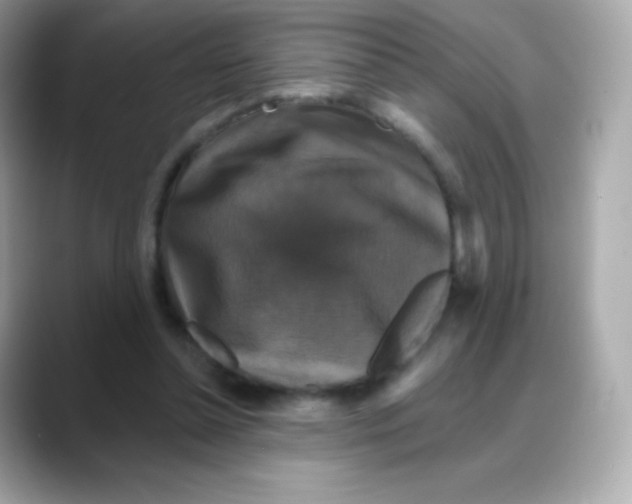 X0000088140348200706042013