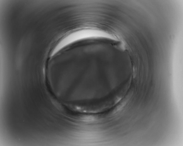 X0000088140349200706042013