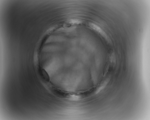 X0000088140352200706042013