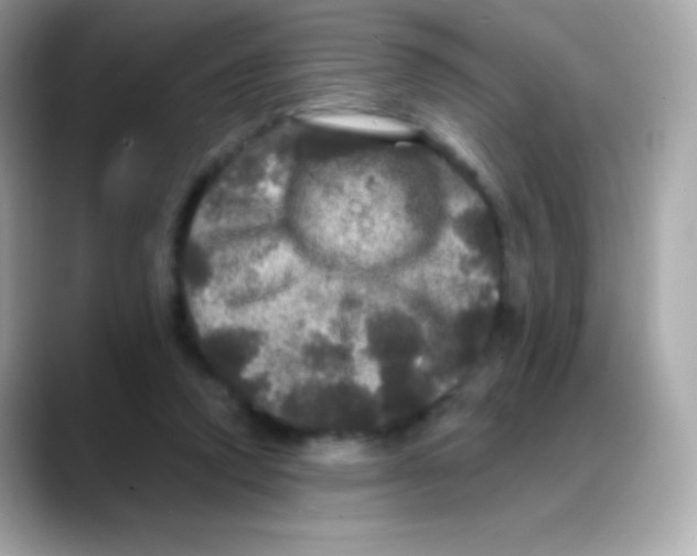 X0000088140354200706042013