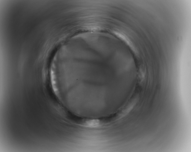 X0000088140355200706042013