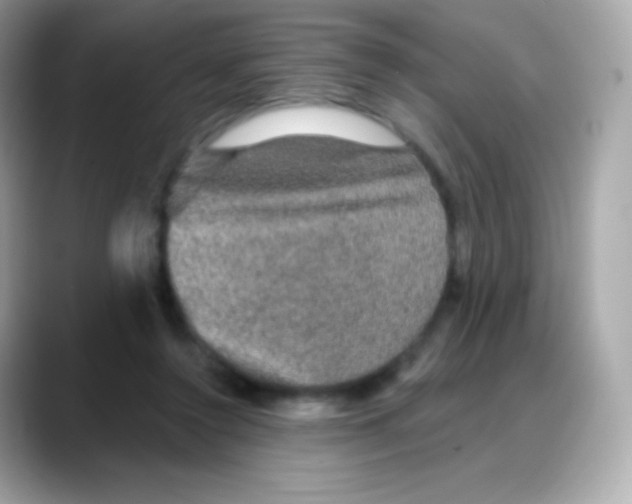 X0000088140356200706042013