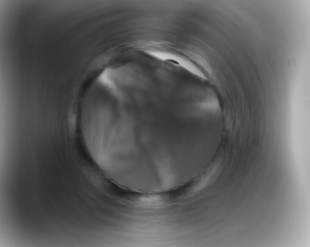 X0000088140357200706042013