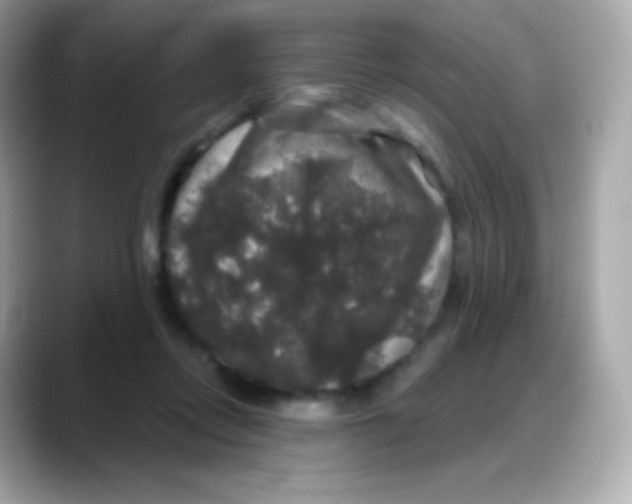 X0000088140358200706042013