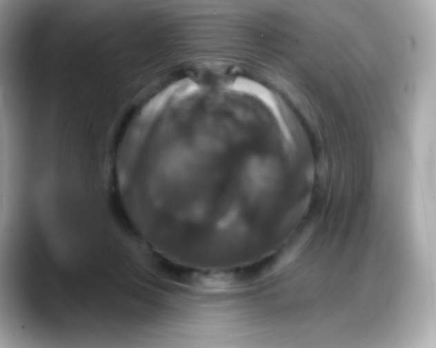 X0000088140359200706042013