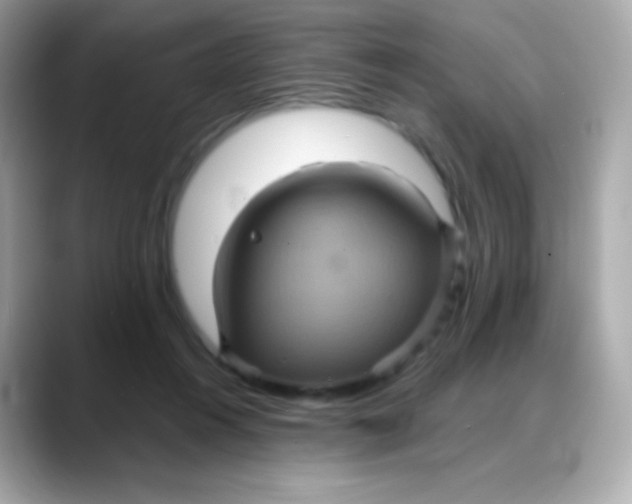 X0000088140360200706042013