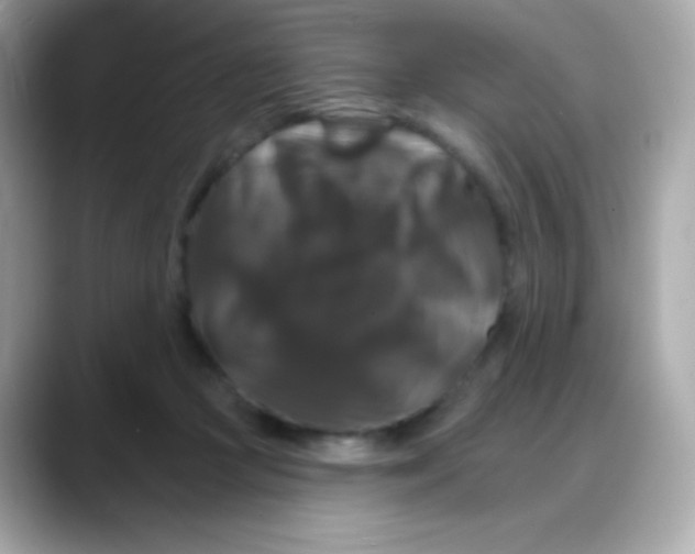 X0000088140361200706042013