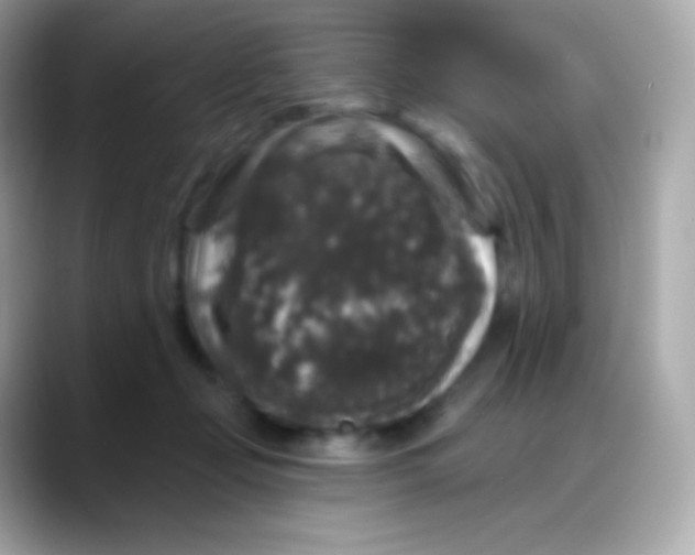 X0000088140365200706042014