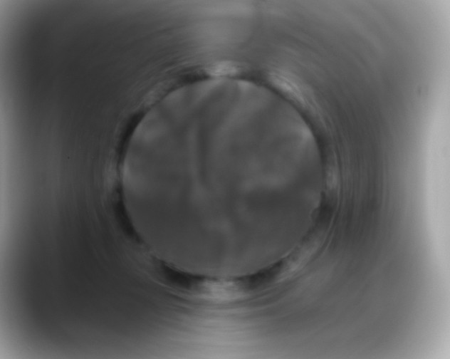 X0000088140367200706042014