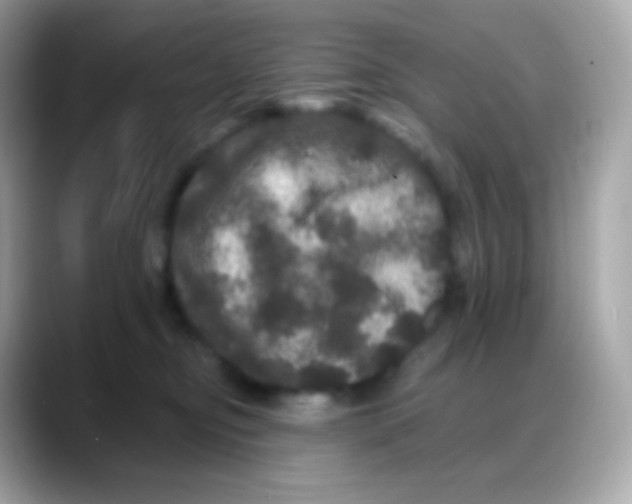 X0000088140374200706042014