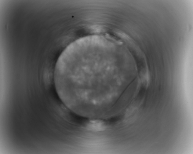 X0000088140376200706042014