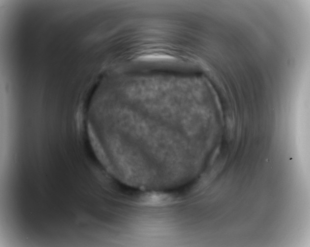 X0000088140379200706042014