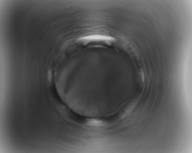 X0000088140380200706042014