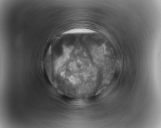 X0000088140381200706042014