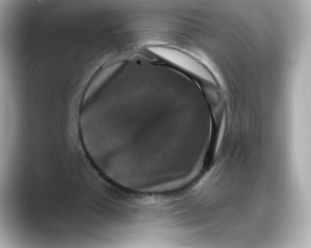 X0000088140385200706042013