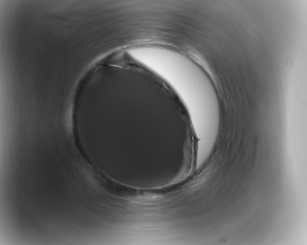 X0000088140387200706042013