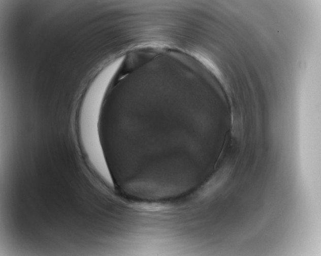 X0000088140389200706042013