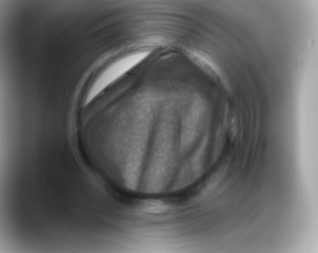 X0000088140392200706042013