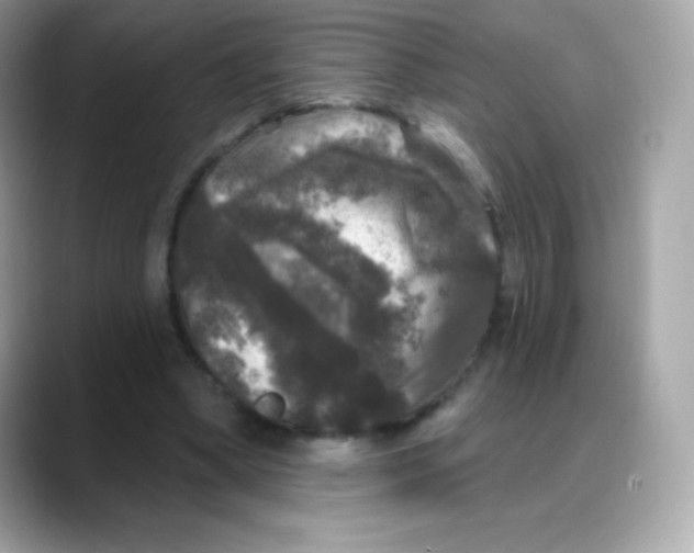 X0000088140394200706042013