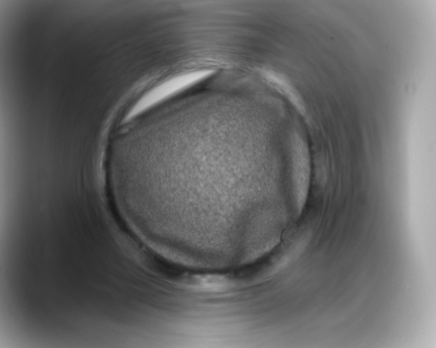 X0000088140395200706042013