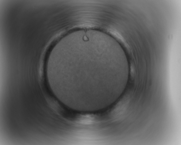 X0000088140396200706042013