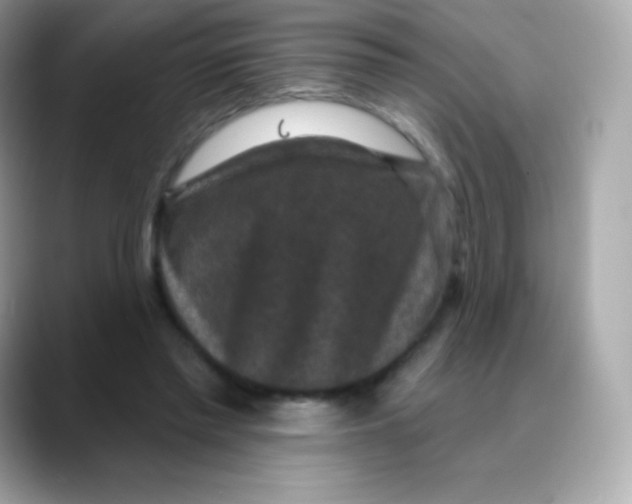 X0000088140397200706042013