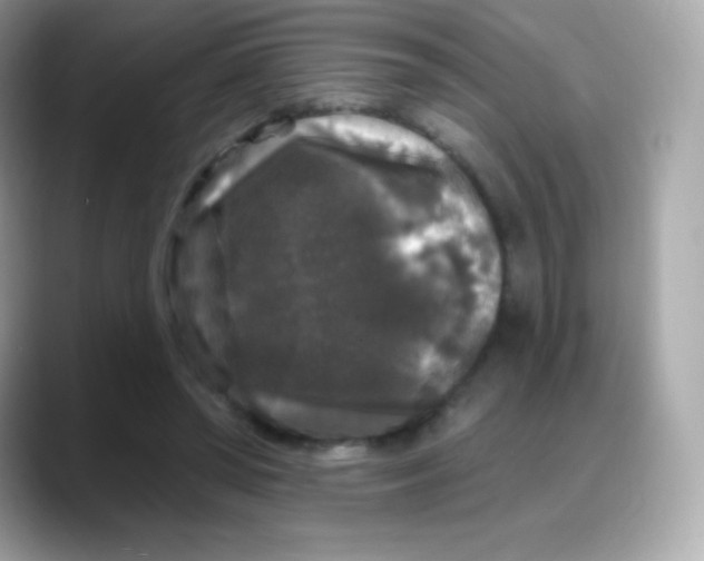 X0000088140398200706042013