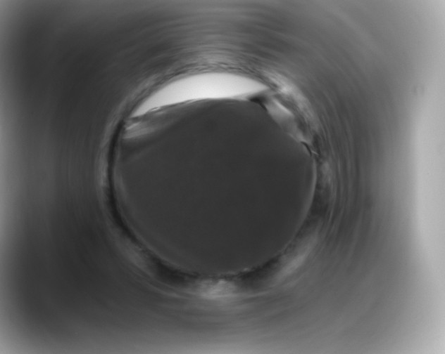 X0000088140399200706042013