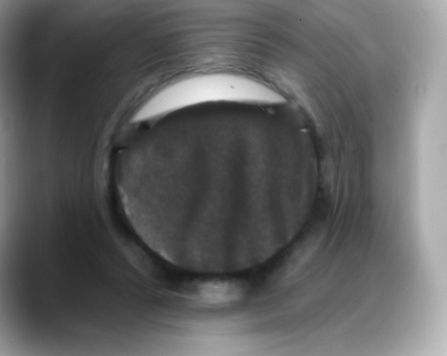 X0000088140400200706042013