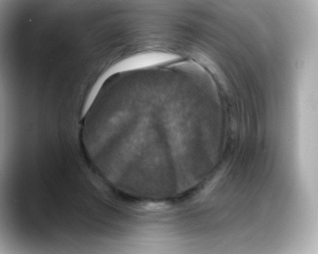 X0000088140401200706042013