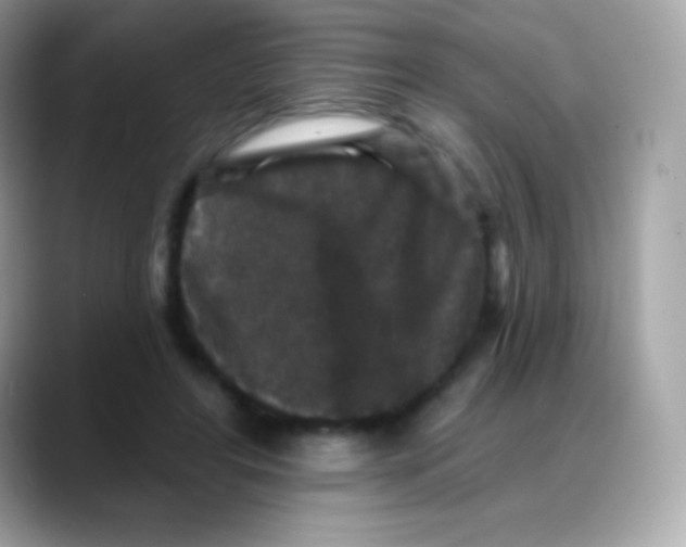 X0000088140404200706042013