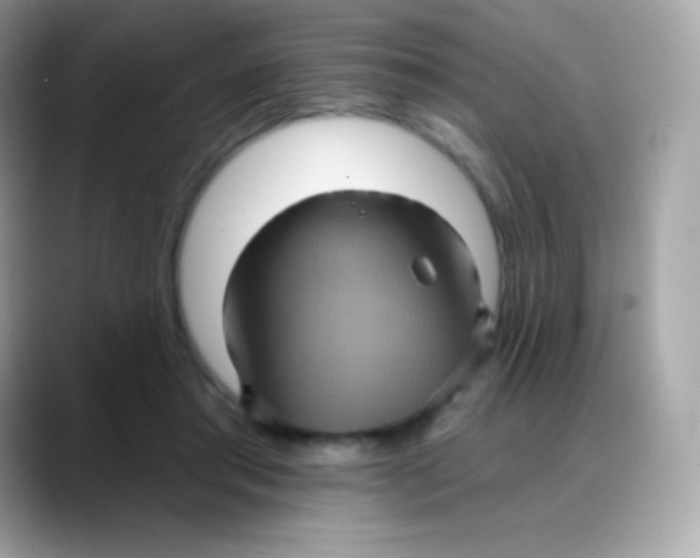 X0000088140405200706042013