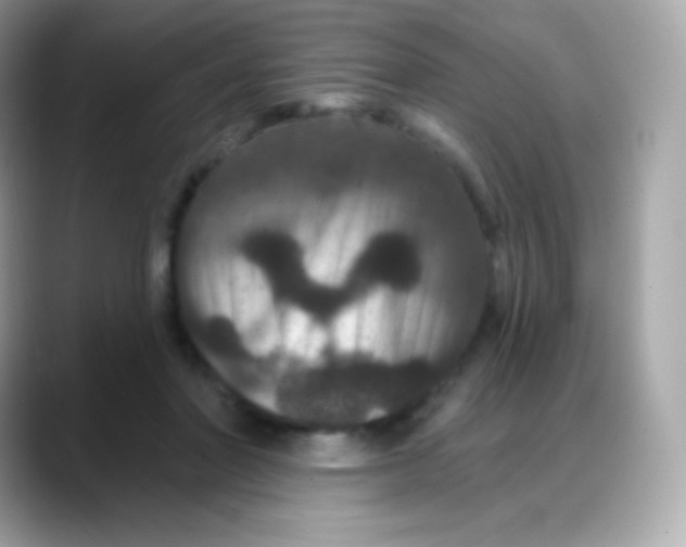 X0000088140406200706042013