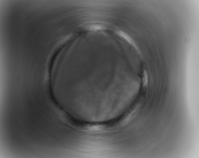 X0000088140407200706042013