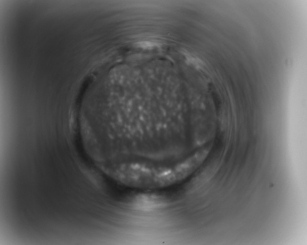 X0000088140408200706042013