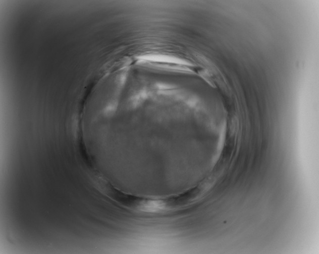 X0000088140409200706042013