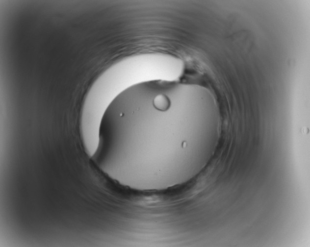 X0000088140411200706042013