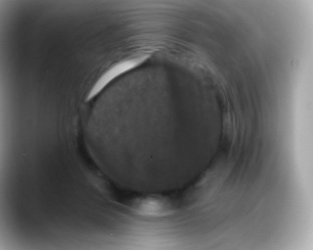 X0000088140412200706042013