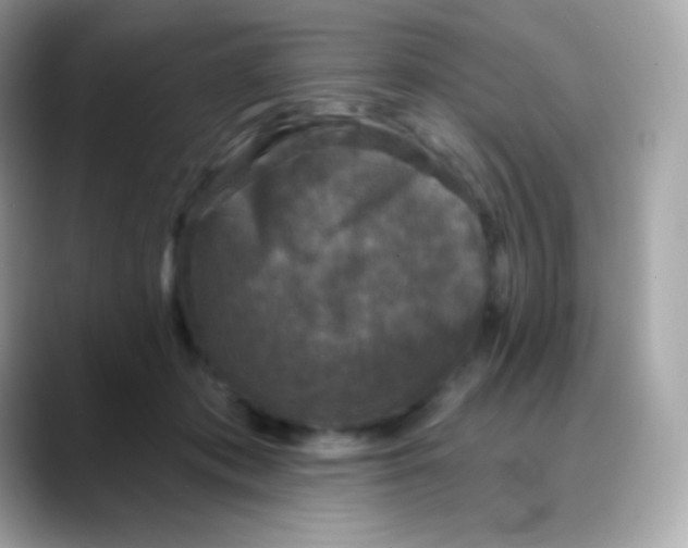 X0000088140413200706042013