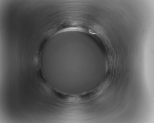 X0000088140415200706042013