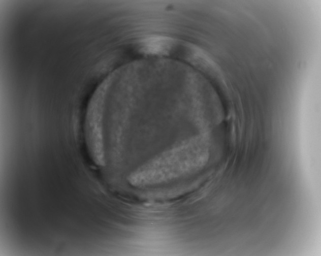 X0000088140416200706042013