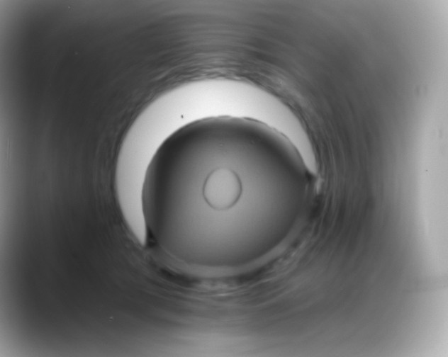 X0000088140417200706042013