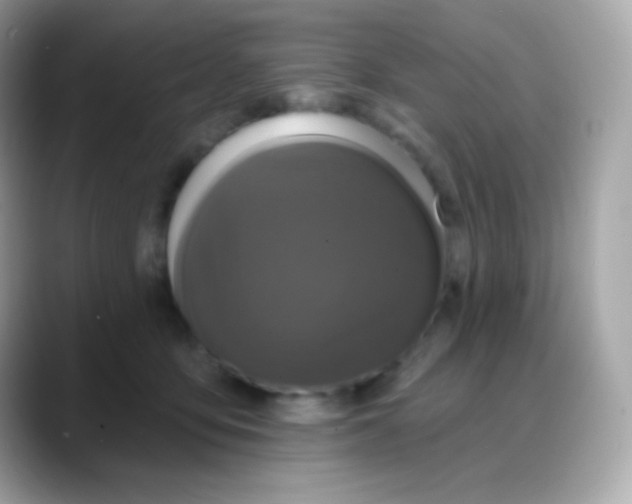 X0000088140419200706042013