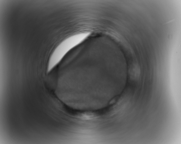 X0000088140420200706042013