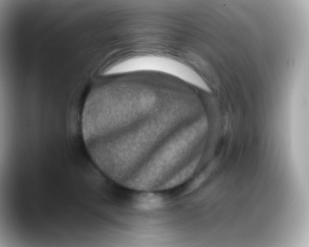 X0000088140421200706042013