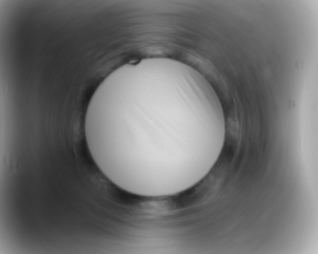 X0000088140422200706042013