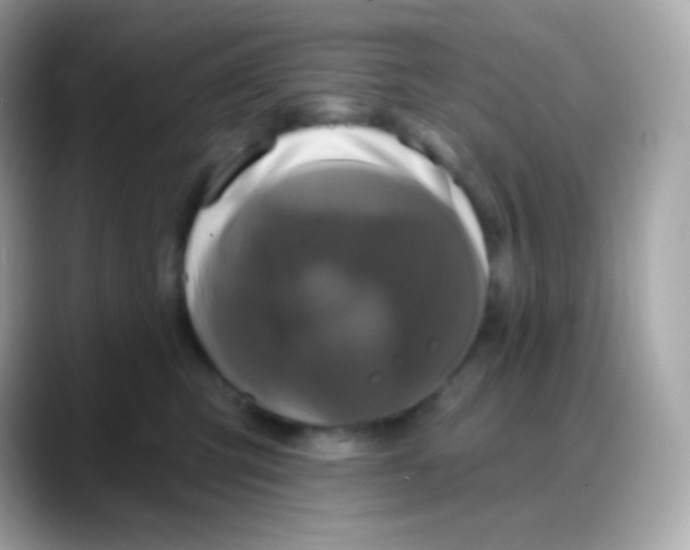 X0000088140423200706042013