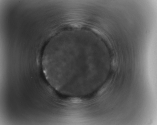 X0000088140424200706042013